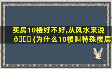 买房10楼好不好,从风水来说 🕊 (为什么10楼叫特殊楼层)